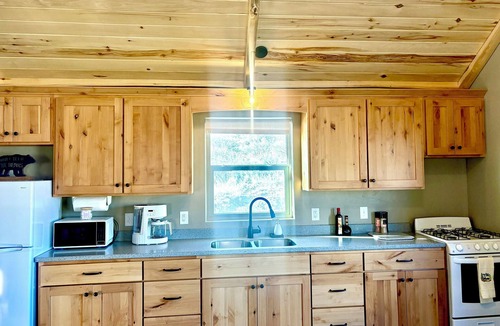 Capulin Cabin | Modern Rustic Appeal with the Wild Rio Grande National Forest as your backyard!