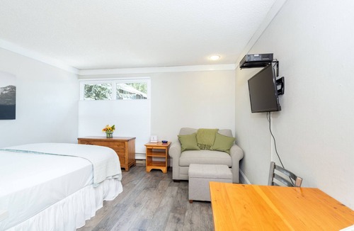 Telluride Hotel | Modern, Updated Dog-Friendly Kitchenette at the Mountainside Inn