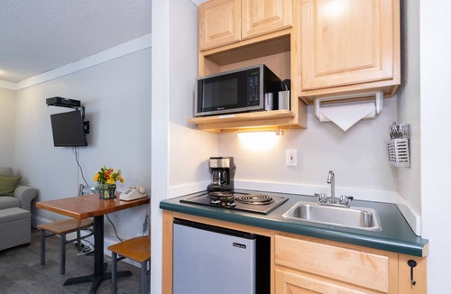 Telluride Hotel | Modern, Updated Dog-Friendly Kitchenette at the Mountainside Inn