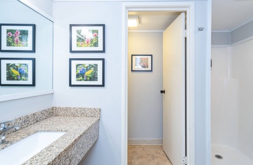 Telluride Hotel | Modern, Updated Dog-Friendly Kitchenette at the Mountainside Inn