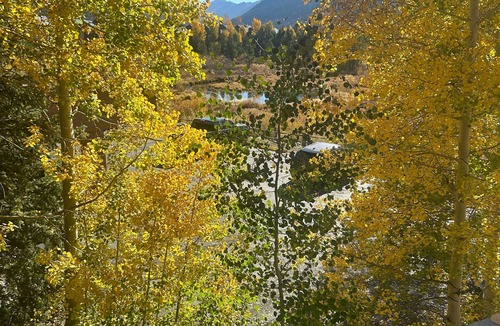 Mountain House Condo | Moose like the wetlands—our balcony offers a perfect view. 2bed, 2 bath. Sleeps6