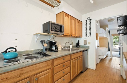 Telluride Condo | Mountain Hideaway w River Views + Walk to Chair 7 @ Viking Lodge 315