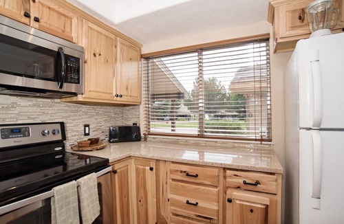 Carbondale Condo | Mtn Condo w/1 Fishing Badge, BBQ Grill,Near Skiing