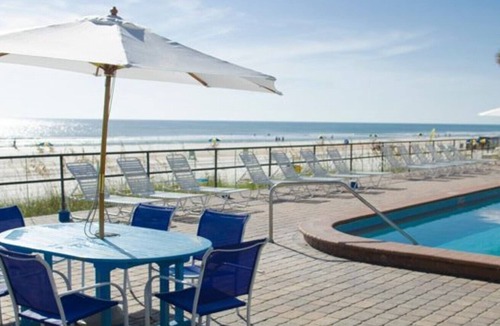 Daytona Beach Condo | Ocean View Studio Condo - turtle
