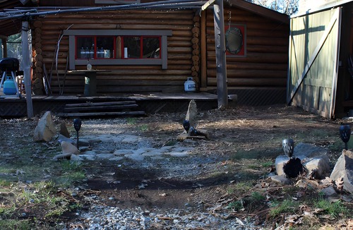 Ruth Cabin | Off-Grid Mountain Retreat