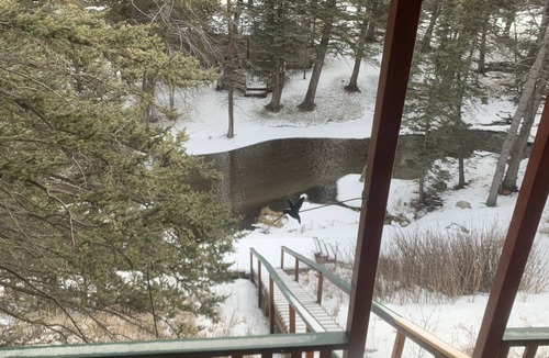 Taos Ski Valley Cabin | ON THE RIVER! MINUTES FROM SLOPES! SLEEPS 16