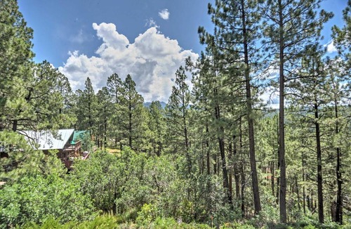 San Juan River Village House | Pagosa Springs Home w/Mtn Views - Near Wolf Creek!