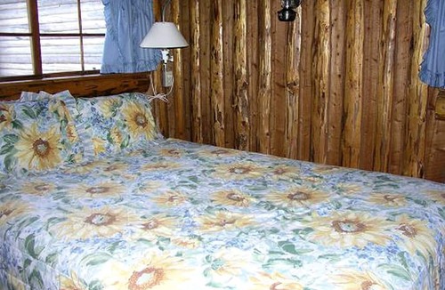 Lake City Cabin | Pet-Friendly Log Cabin Rental for a Bucolic Getaway in Lake City, Colorado