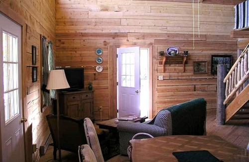Lake City Cabin | Pet-Friendly Log Cabin Rental near San Juan National Forest in Lake City, Colorado