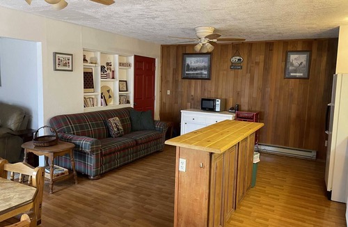 Lake City Cabin | Pine Street Getaway - Quiet Location Close to Town (Permit #Tlcr36)