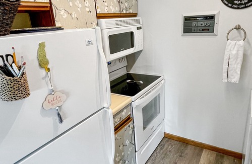 Port Clinton Condo | Premium Penthouse Condo, easy walk to jet express, Docks beach house & downtown