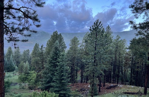 Bayfield Cabin | Private Cabin with lake and mountain views - 30 min from Durango!