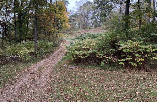 Negley Cabin | Private off grid cabin nestled on 40 acres at historic Camp Bouquet