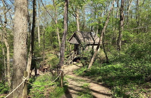 Negley Cabin | Private off grid cabin nestled on 40 acres at historic Camp Bouquet
