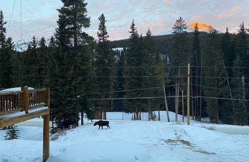 Breckenridge House | Private Ski Lodge 10min to Slopes/Downtown Breck—6BR/5B