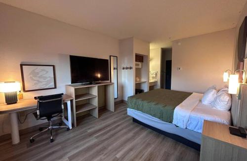 Englewood Hotel | Quality Inn Denver Tech Center