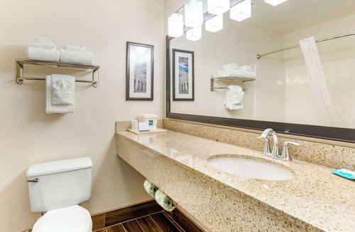 Fort Collins Hotel | Quality Inn & Suites University Fort Collins