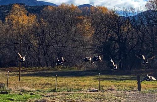 Howard House | Quiet Motel Room Near Ark River #8 - 15 min to Salida