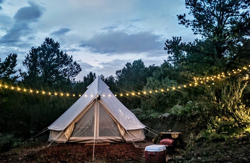 Canon City Ski Chalet | Raven Retreat allows you to reconnect with nature.