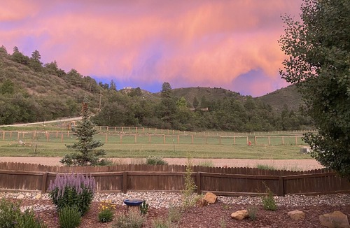 Durango House | Relax with quiet mountain views just minutes from town!
