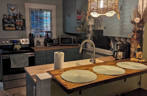 University Park House | Remodeled Historical Home 2 blocks from CSU campus and 3 blocks to Old Town