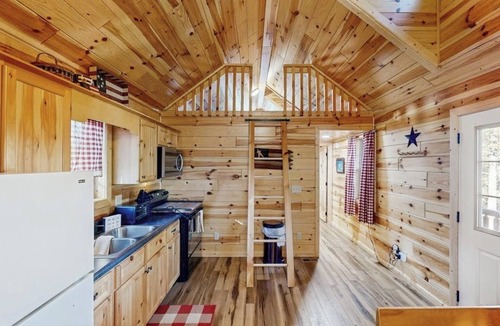 Florissant Cabin | Rural Wood Cabin Surrounded by Trees with WiFi, W/D, & Gorgeous Deck