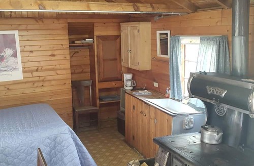 Bellvue Cabin | Rustic Glamping Cabin near Poudre River, Perfect for a Weekend of Fishing and Watching Wildlife