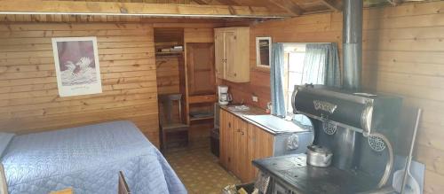 Bellvue House | Rustic Glamping Cabin near Poudre River, Perfect for a Weekend of Fishing and Watching Wildlife