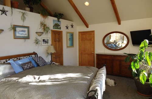Salida House | Salida, every good thing those other great mountain towns used to be.