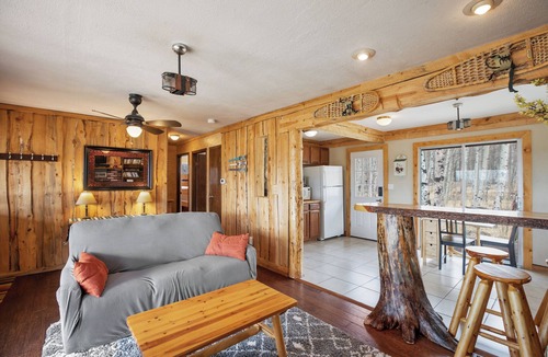 Tarryall Cabin | Secluded Forest Cabin on 3 Acres Near Eleven Mile Reservoir/Fishing