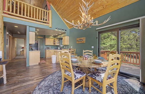 Fairplay Cabin | Secluded Pet-Friendly Getaway, less than 35 miles to Breck, Fast Wifi, spacious - A Reel Good Time