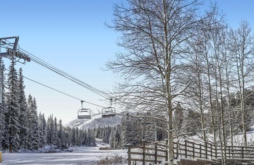 Peak 9 Apartment | Ski In Ski Out Dog Friendly Studio Building 4