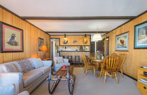 Mount Crested Butte Condo | Ski-In/Ski-Out! End Unit Condo w/Majestic Views & Free Shuttle