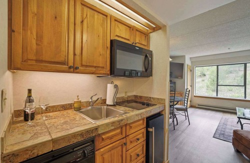 Peak 9 Apartment | Ski In Ski Out Studio, Dog Friendly, Beaver Run, Building 4