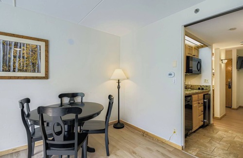 Peak 9 Apartment | Ski In Ski Out Studio, Dog Friendly, Hot Tubs, Building 4