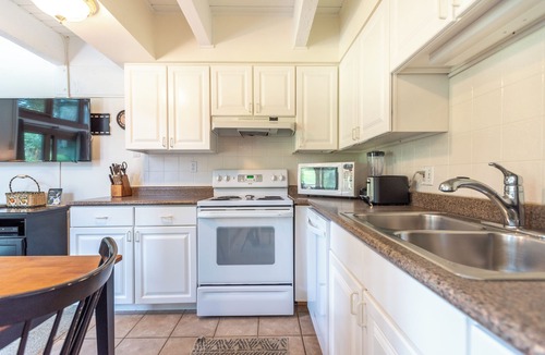 Copper Mountain Village Condo | Ski-in/Walk-out condo, free wifi, covered parking. kitchen, pet friendly!