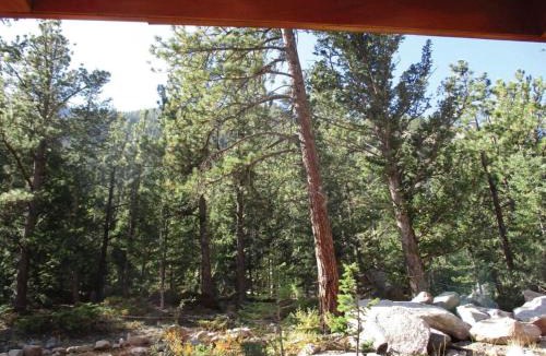 Idaho Springs House | Skiers Cabin at Base Camp Lodging Company