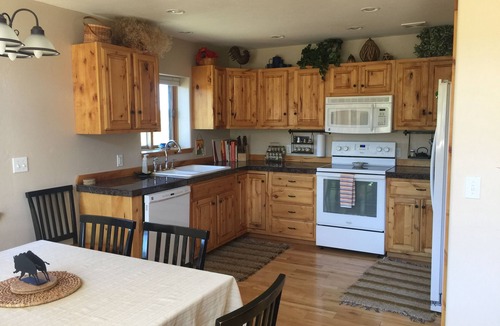 Elk Meadows House | Sneffels Retreat! Enjoy Amazing Mountain Views in Peace & Comfort!