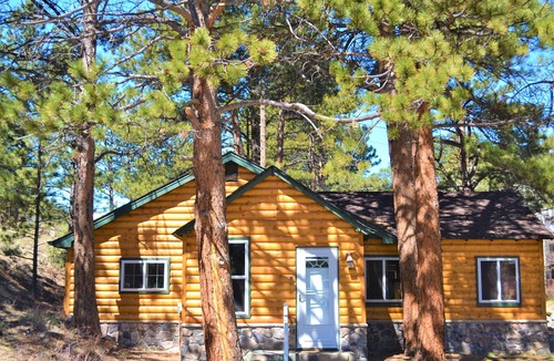 Estes Park House | SPA RIVER CABIN On River, Hot Tub, 5 Min RMNP, Steam Shower, Firepit, 2 Bath