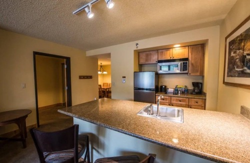 Mount Crested Butte Condo | Spacious 2 Queen Condo, Pet-Friendly + Kitchenette