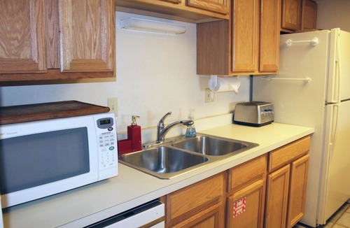 Mount Crested Butte Condo | Spacious Condo; Amazing Views! Ski-in/Out. Fireplace, Balcony