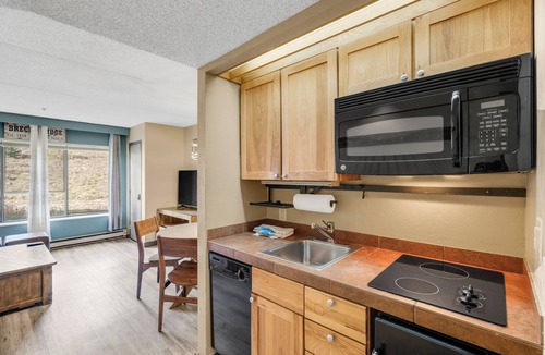Peak 9 Condo | Spacious ski-in/ski-out Studio, 1-Bath Prime Location to Ski Slopes!