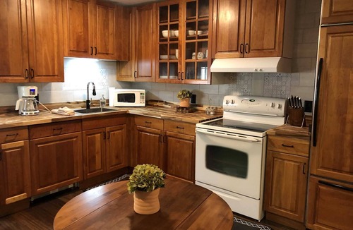 Lake City Cabin | Spruce Lodge Apartment - Great Location in Town