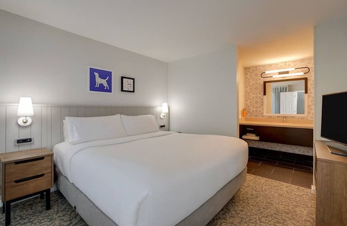 San Jose Hotel | Stay In great Shape! Pet Friendly Suite with Free Daily Breakfast