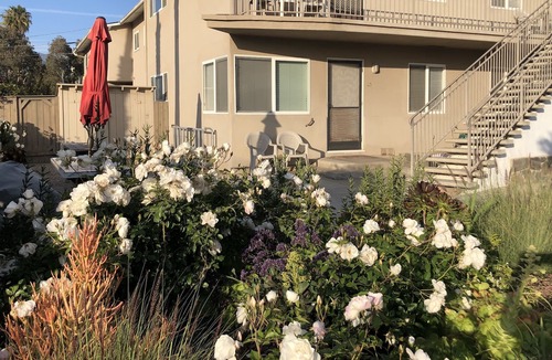 Carpinteria Apartment | Surf, Sun and Sand - Steps from Carpinteria Beach #19