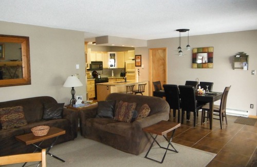 Mount Crested Butte Condo | Tastefully Remodeled, Spacious,Luxury, Calm and Peaceful