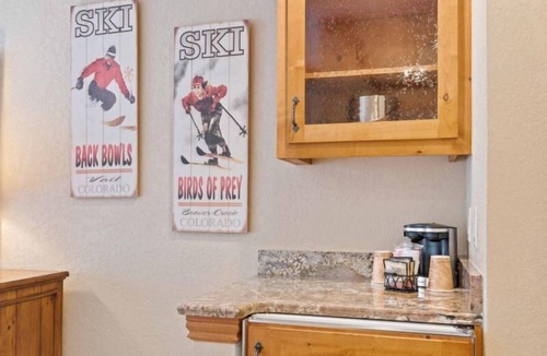 Beaver Creek Condo | The Charter at Beaver Creek F455