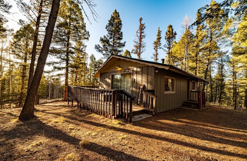 Florissant Cabin | The Den- Forest Cabin Retreat
