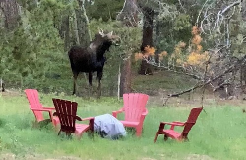 Black Hawk Cabin | The Fabulous BlackHawk Log Cabin Family and Pet - friendly