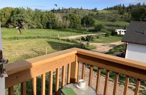Livermore Cabin | The Forge Cabin, A Charming and Spacious renovated cabin. Everyone loves it!